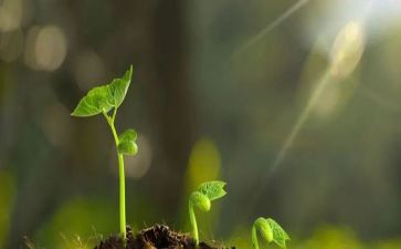 守护有我演讲稿优秀7篇