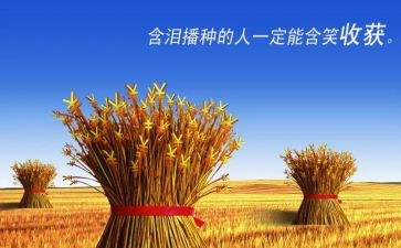 军训收获心得体会最新7篇