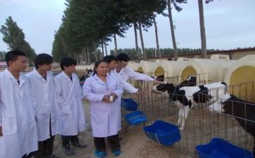 兽医师晋职称述职报告范文5篇