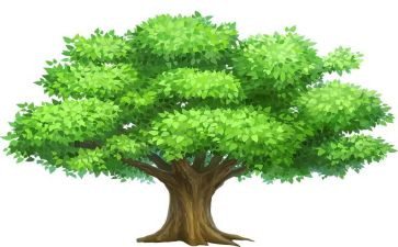 听植树问题心得体会6篇