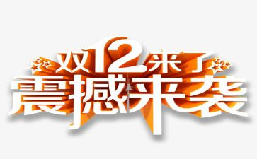 双12活动总结优质5篇