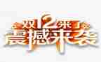 双12主题营销活动策划5篇