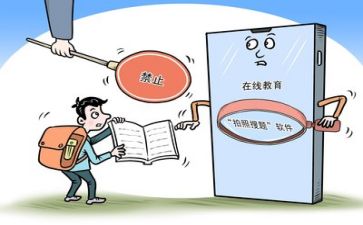双减工作月总结7篇
