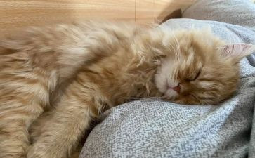 睡眠与健康教案精选7篇