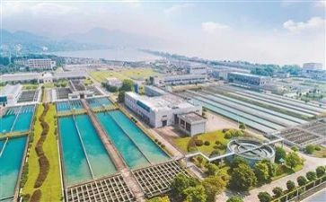 水厂厂长年终总结7篇