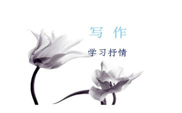 抒情类的演讲稿5篇