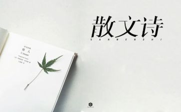抒情的作文5篇