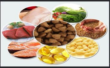 饲料销售月工作总结最新5篇