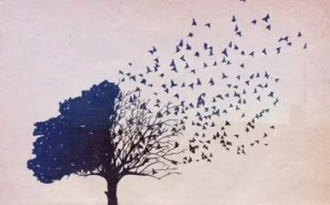 教师思想年度工作总结模板5篇