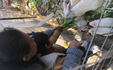 牛饲养员工作总结7篇