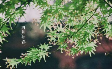 学生会四月总结参考8篇