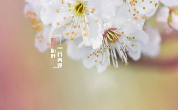 生活部四月工作总结7篇