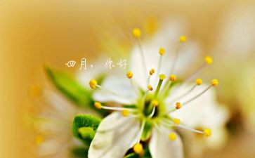 大班四月工作计划计划推荐8篇