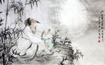 读苏轼的诗读后感7篇