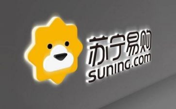 求苏宁的工作总结8篇