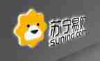 求苏宁的工作总结8篇