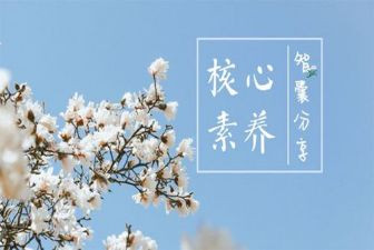 综合素养心得体会6篇