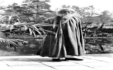 泰戈尔《家》读后感8篇