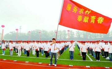 特岗教师总结最新6篇