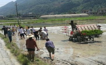 特岗教师总结优质8篇