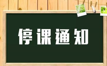 停课不停学线上教学总结8篇