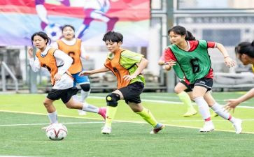 学校体卫生工作计划优秀6篇
