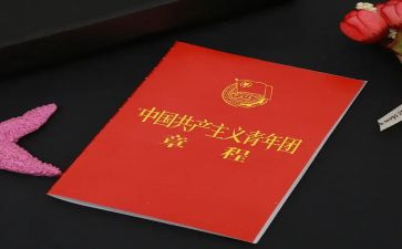 团章的心得体会7篇