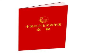 学习团章的个人总结7篇