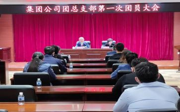 团总支的工作总结参考7篇