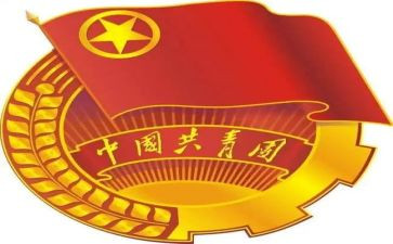 向团组织写申请书5篇