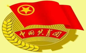 社团组织工作总结5篇