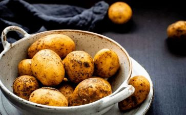 挖土豆作文500字作文6篇