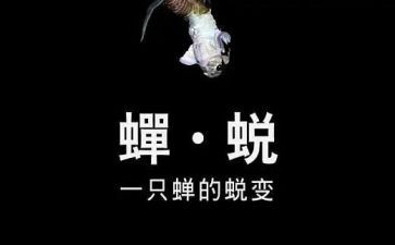 蜕变心得体会6篇