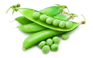 小豌豆的读后感6篇