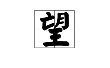 希望作文800字5篇