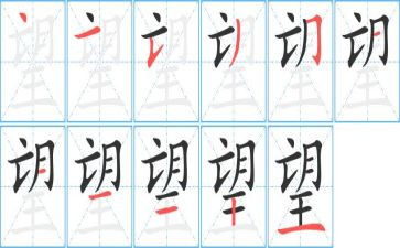 展望2023的作文5篇