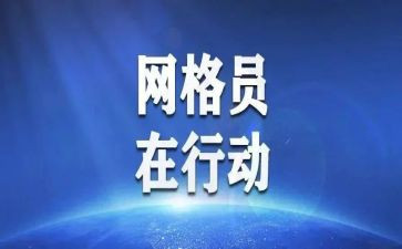村网格员工作总结精选5篇