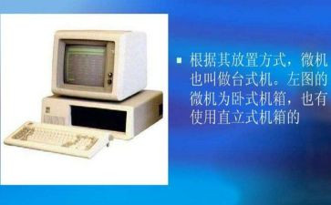 小学微机工作总结6篇