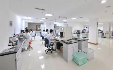 卫生院院长2024年述职报告6篇