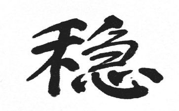 2024年综治维稳工作总结6篇