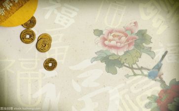 6大文化活动总结优质7篇