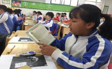 小学生语文课教案6篇