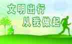 文明交通从我做起作文5篇