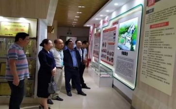 语文培训教师心得体会模板5篇