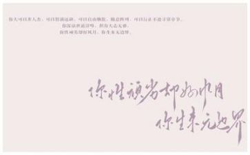 带文字的调查报告5篇
