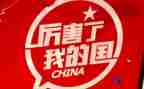 我爱我的国教学反思6篇