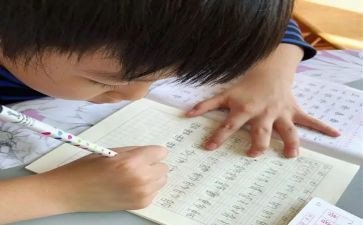 我的名字是作文8篇