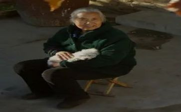 作文我的奶奶400字优质8篇