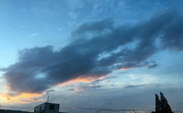 “我的一天”作文参考7篇