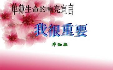 我很重要毕淑敏读后感7篇